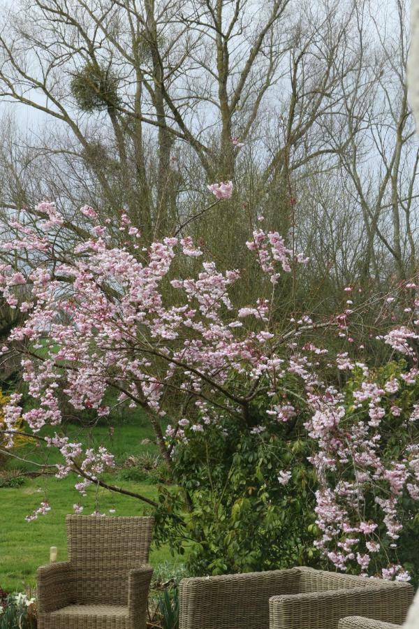 Bed and Breakfast Le Bourgis La Chapelle-Montligeon Esterno foto