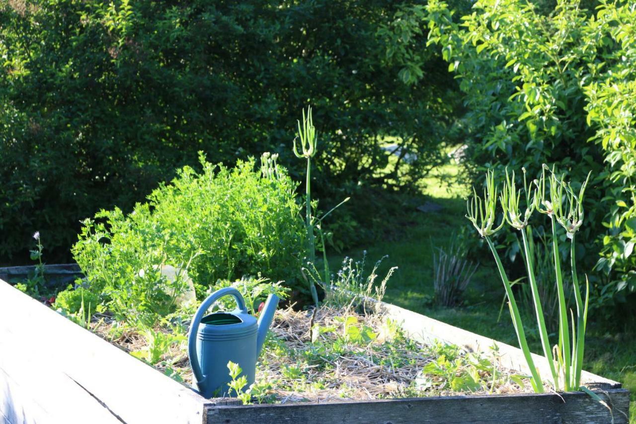 Bed and Breakfast Le Bourgis La Chapelle-Montligeon Esterno foto