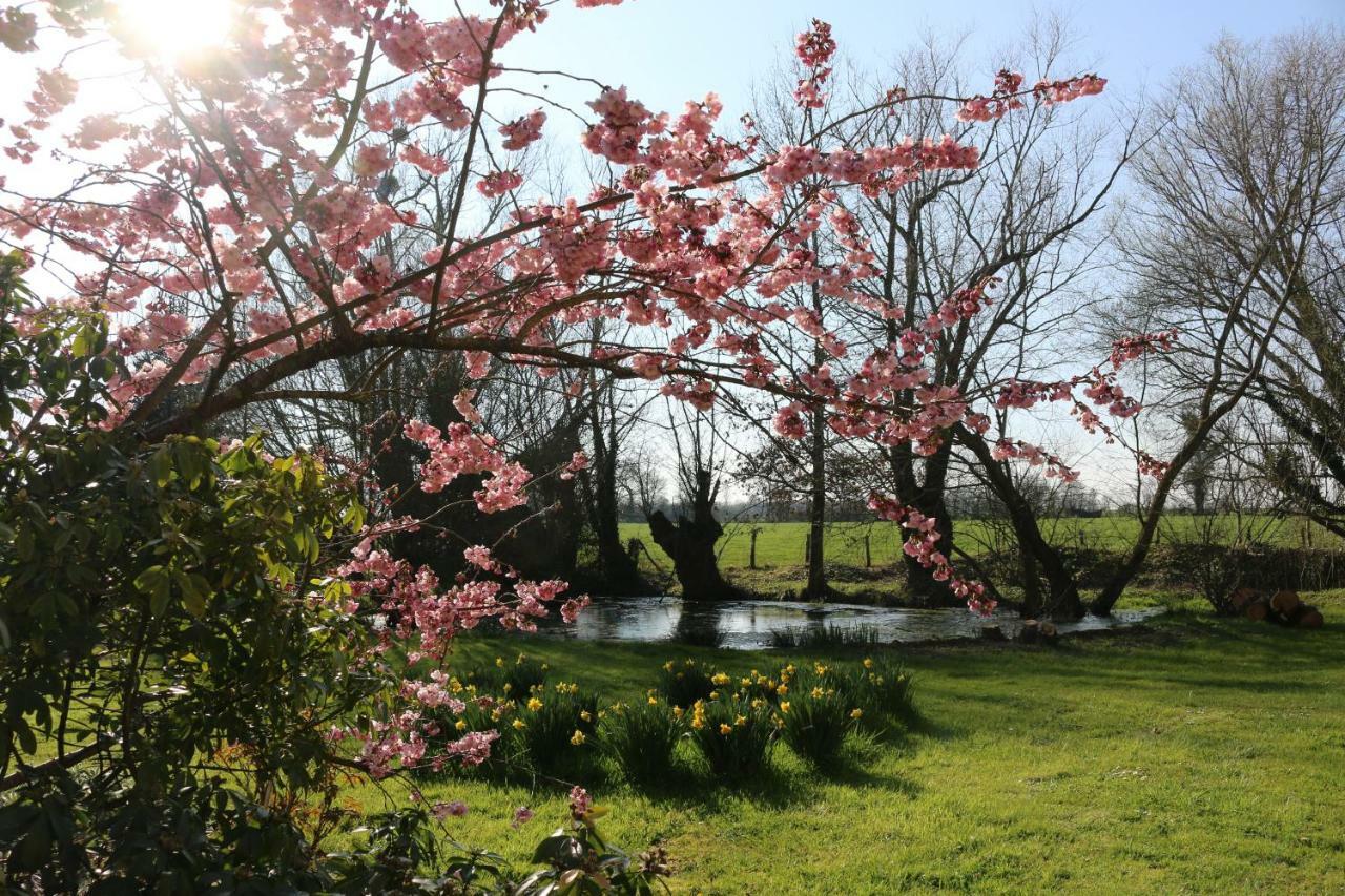 Bed and Breakfast Le Bourgis La Chapelle-Montligeon Esterno foto